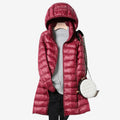 Burgundisch