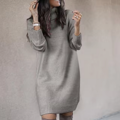 Damen Rollkragen Pulloverkleid | Langarm